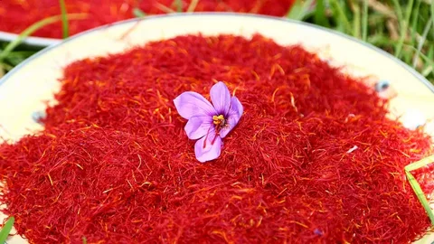 تصویر 5 از خرید و قیمت زعفران نگین صادراتی + فروش صادراتی